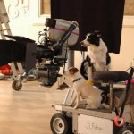 Animal Filmakers, spot per attori cani